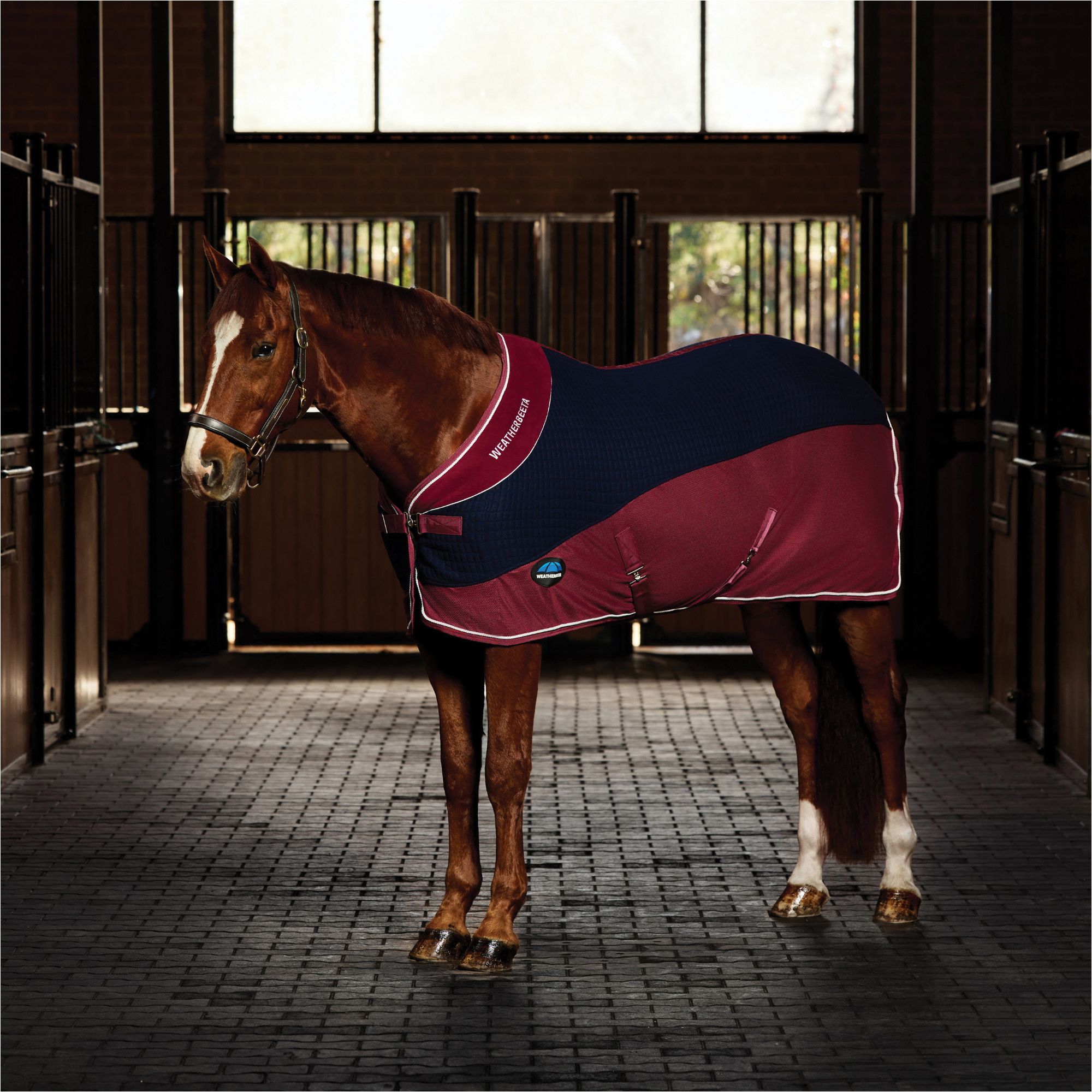 2025 WeatherBeeta Thermo - Luft Kühler Standard Hals 1018925 - Burgundy